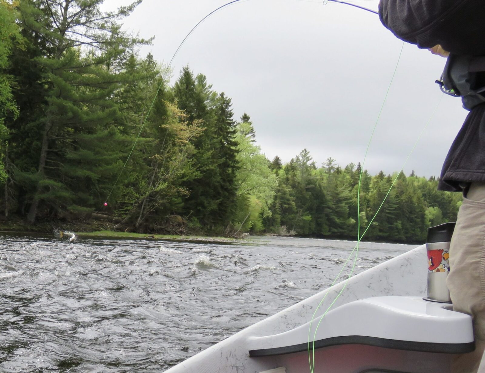 Fly Fishing University - Maine Guide Fly Shop and Guide Service
